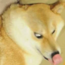 🤪 emoji Doge Telegram sticker 23 of 57