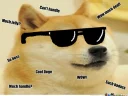 😎 emoji Doge Telegram sticker 17 of 57