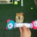 😮 emoji Doge Telegram sticker 8 of 57