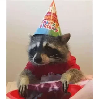 Sticker from Cute Raccoon