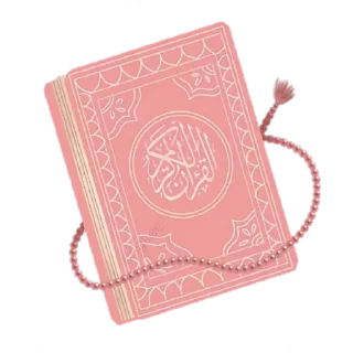 📖 emoji @Quroni_karim_rasmlari @hijab_girl_stickers Telegram sticker 21 of 120