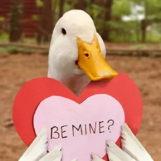 ❤️ emoji 🦢Swanbutgoose🪿 Telegram sticker 14 of 77
