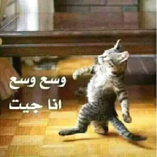 😂 emoji W A L I D✨ @walidsayed3 Telegram sticker 10 of 75