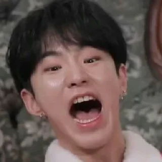 💎 emoji Svt gose memes Telegram sticker 3 of 100