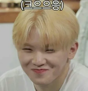 💎 emoji Svt gose memes Telegram sticker 24 of 100