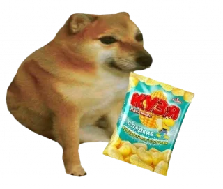 Sticker from Such a Doge By @OH_NO_CRlNGE