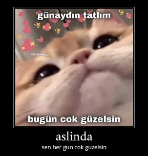 🤔 emoji @mmagneto @AsenaUserBot Paketi 1 Telegram sticker 7 of 120