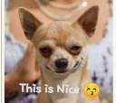 😘 emoji Savage Telegram sticker 23 of 29