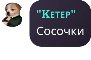 💄 emoji САНС У НАС ДОМ ГОРИТ! pack by @QuotLyBot Telegram sticker 9 of 120