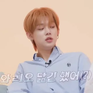 Sticker from 𝗆𝗂𝖾𝗅 𝖿𝗈𝗑 @hygei .