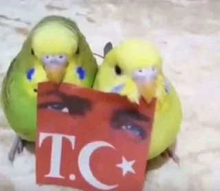 🇹🇷 emoji animals. Telegram sticker 9 of 46