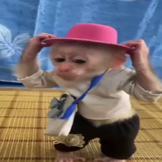 Sticker from манке брадки от @usebanana