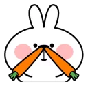 😶 emoji 🐨 Telegram sticker 23 of 51