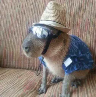 😎 emoji Capybara Telegram sticker 6 of 15