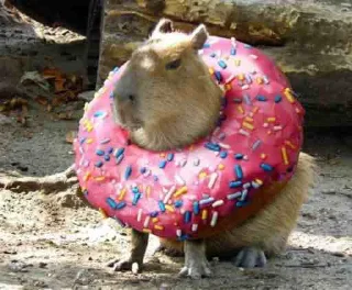 🍩 emoji Capybara Telegram sticker 9 of 15
