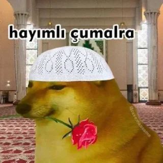 Sticker from sticker pack 3