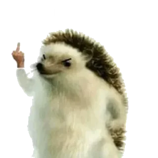 🖕 emoji @kristiannotfound's kang pack Vol.1 Telegram sticker 19 of 120
