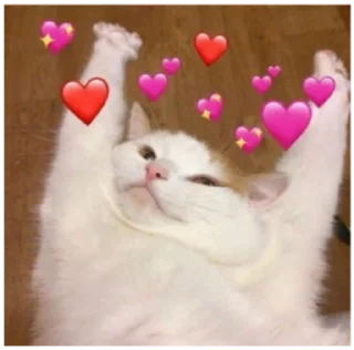 Sticker from Cats