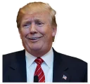 😏 emoji Donald Trump Telegram sticker 8 of 28