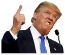 👆 emoji Donald Trump Telegram sticker 17 of 28