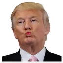 😘 emoji Donald Trump Telegram sticker 19 of 28