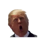 😵 emoji Donald Trump’d Telegram sticker 22 of 28