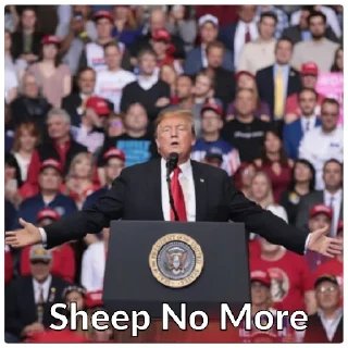 😁 emoji Donald Trump Telegram sticker 23 of 26