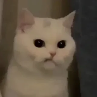 😾 emoji ~ s e a Telegram sticker 6 of 119