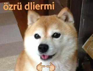 🥺 emoji @nsnrcikartma | 🌃 @SiriOT Paketi | 1 Telegram sticker 18 of 41