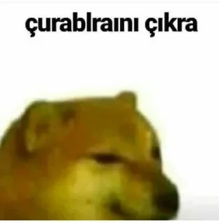 🧦 emoji @nsnrcikartma | 🌃 @SiriOT Paketi | 1 Telegram sticker 9 of 41