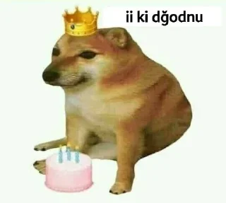 🥳 emoji @nsnrcikartma | 🌃 @SiriOT Paketi | 1 Telegram sticker 14 of 41