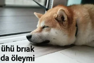 😖 emoji @nsnrcikartma | 🌃 @SiriOT Paketi | 1 Telegram sticker 16 of 41