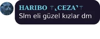 Sticker from N A P İ M