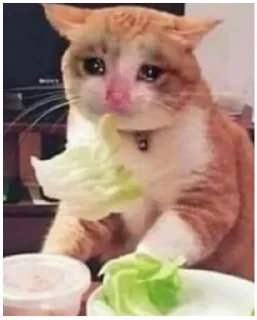 😿 emoji Moods Telegram sticker 5 of 86