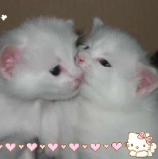 🐈‍⬛ emoji ✯¸.•´*¨*•✿ ✿•*¨*`•.¸✯ Telegram sticker 16 of 33
