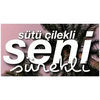😀 emoji ZEMHERİ💋 pack by @QuotLyBot Telegram sticker 3 of 99