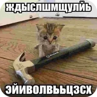 Sticker from лололошка крут 👍🏻