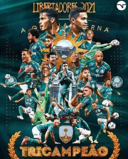Sticker from Sociedade Esportiva Palmeiras