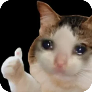 🐱 emoji Hehe Telegram sticker 9 of 35