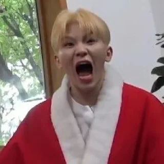 💎 emoji Svt gose memes Telegram sticker 17 of 100