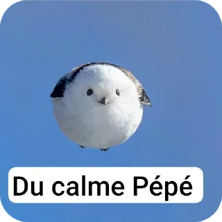 🐦 emoji Karmaniamadaminania niggas (a tribute to BigAss) Telegram sticker 24 of 109