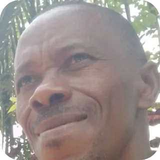 🙂 emoji Karmaniamadaminania niggas (a tribute to BigAss) Telegram sticker 18 of 109