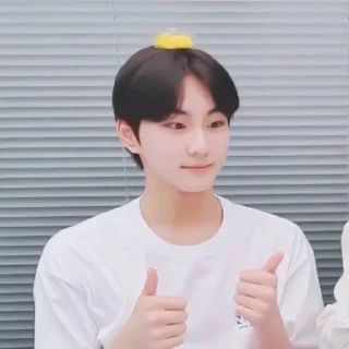 📓 emoji ✦ jungwon by @fancysticks Telegram sticker 7 of 30