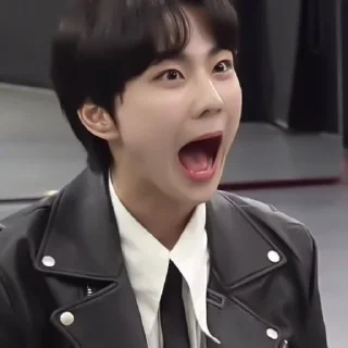 📓 emoji ✦ jungwon by @fancysticks Telegram sticker 15 of 30