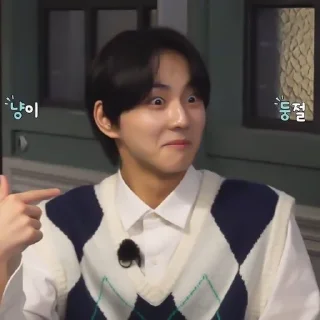 📓 emoji ✦ jungwon by @fancysticks Telegram sticker 12 of 30