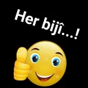 👍 emoji Stîkerên kurdî Telegram sticker 12 of 38
