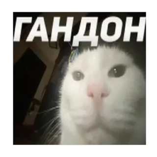 Sticker from Сашвассвяиван
