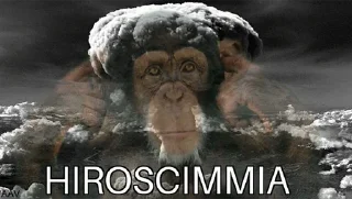 🐵 emoji Scimmia Telegram sticker 7 of 25
