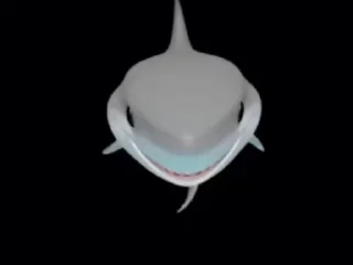 Sticker from SharkShark Memoji Pack