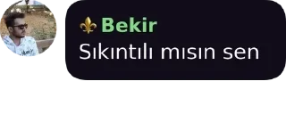 🌟 emoji ⚜️Bekir (@Nkyss) pack by @QuotLyBot Telegram sticker 16 of 110